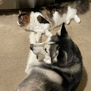 Meet your Posher, Melody